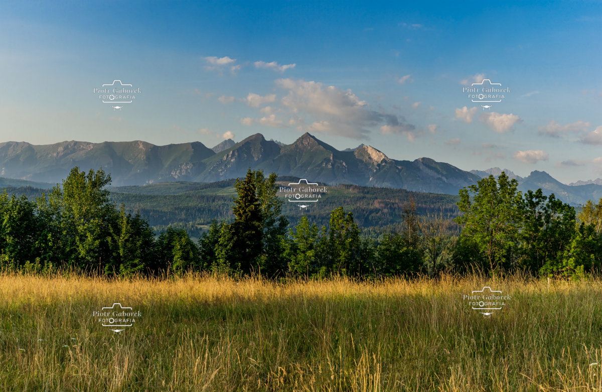 Panorama Tatr z Łapszanki _2883